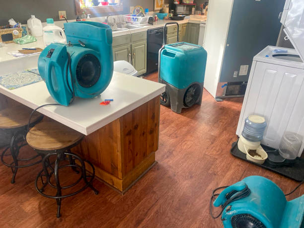 Best Water damage restoration specialists  in Sheldon, IL