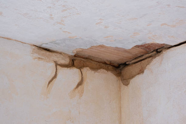 Best Ceiling water damage repair  in Sheldon, IL