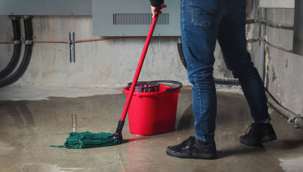Best Emergency water damage restoration  in Sheldon, IL