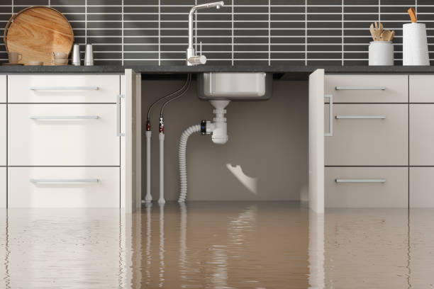 Best Commercial water damage restoration  in Sheldon, IL
