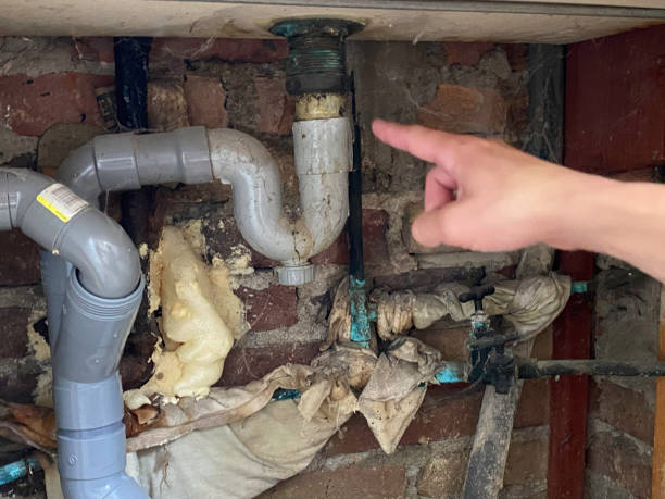  Sheldon, IL Water damage restoration Pros