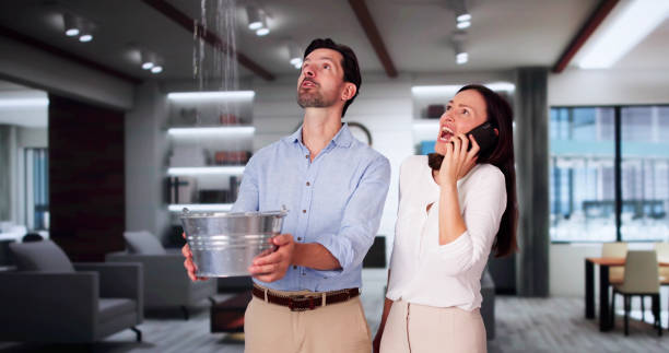 Best Sewage cleanup and water damage restoration  in Sheldon, IL
