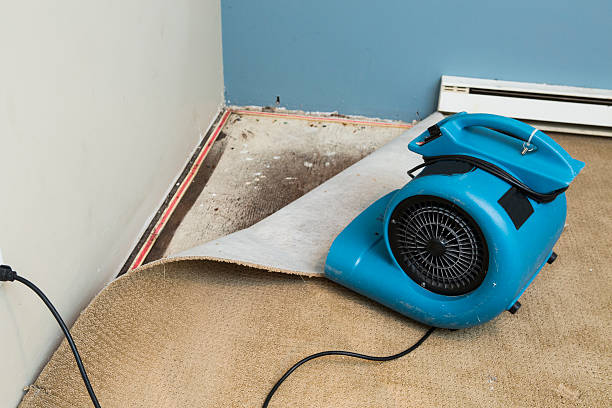 Best Water damage restoration near me  in Sheldon, IL